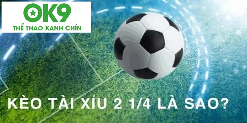 Kèo Tài Xỉu 2 trái còn có nhiều kèo phụ khác Kèo Tài Xỉu 2 trái còn có nhiều kèo phụ khác
